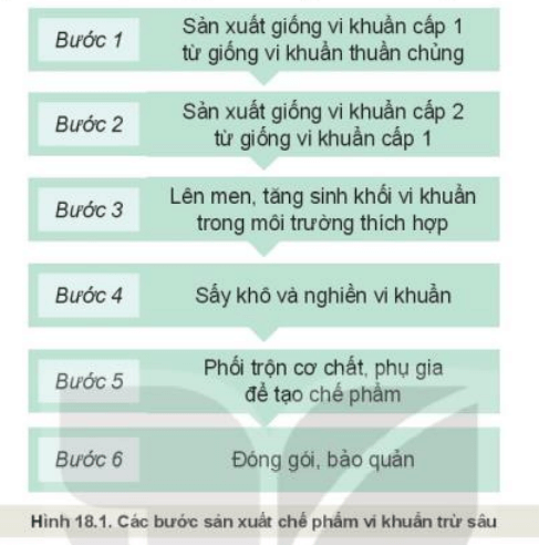 Quan sát Hình 18.1 mô tả các bước sản xuất chế phẩm vi khuẩn trừ sâu?