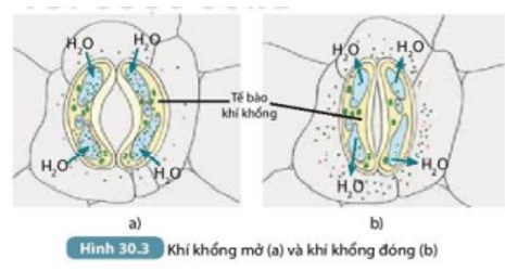 Tài liệu THCS Bình Chánh