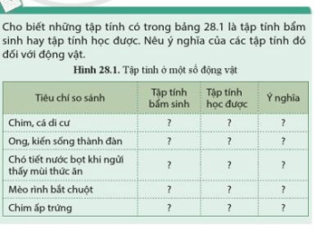 Cho biết những tập tính có trong bảng 28.1 là tập tính bẩm sinh hay tập tính học được