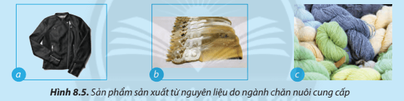 Nguyên liệu nào của ngành chăn nuôi được dùng để sản xuất các sản phẩm ở Hình 8.5?