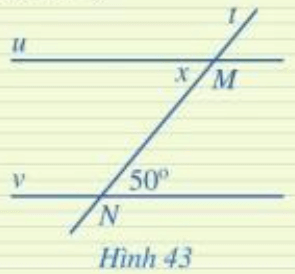 Tìm số đo x trong Hình 43, biết u // v