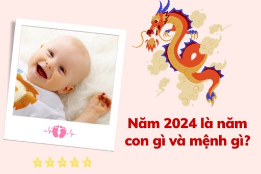Đặc điểm tính cách và cuộc đời em bé sinh năm 2024