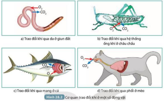 Tài liệu THCS Bình Chánh