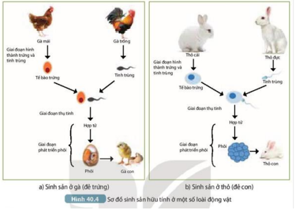 Tài liệu THCS Bình Chánh