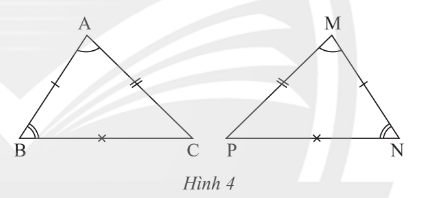 Giải Toán 7 Bài 2 (Chân trời sáng tạo): Tam giác bằng nhau (ảnh 1)