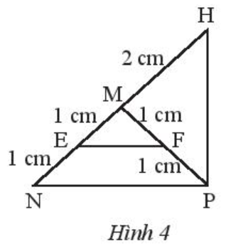 Giải Toán 7 Bài 3 (Chân trời sáng tạo): Tam giác cân (ảnh 1)