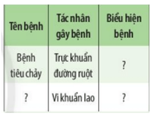 Quan sát hình 25.5, 25.6 và hoàn thành bảng theo mẫu sau