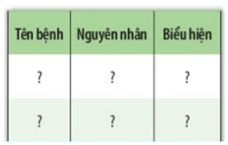 Quan sát hình 27.3, 27.4 và hoàn thành bảng theo mẫu sau