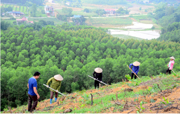 Tài liệu THCS Bình Chánh