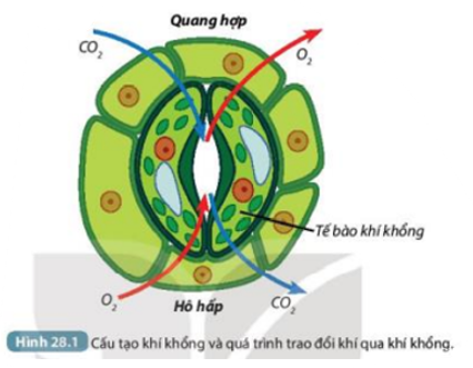 Tài liệu THCS Bình Chánh