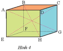 Quan sát hình hộp chữ nhật ABCD.EFGH (Hình 4) và thực hiện các yêu cầu sau