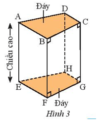 Quan sát hình lăng trụ đứng tứ giác trong Hình 3