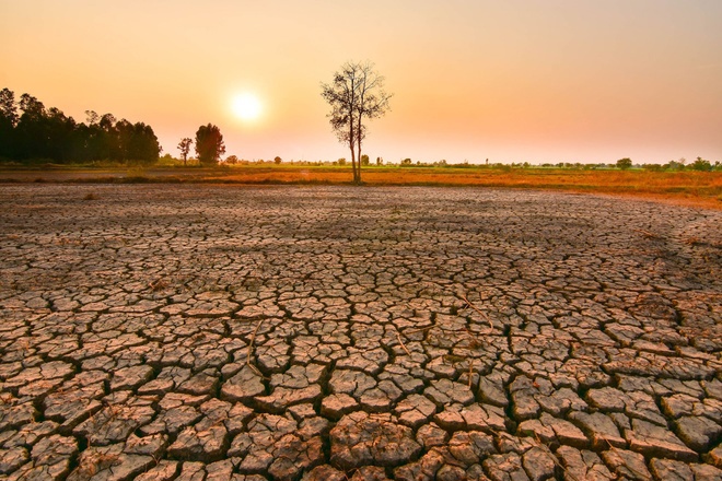 Giải pháp khắc phục El Nino là gì?