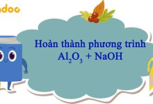 Al2O3 + NaOH → NaAlO2 + H2O
