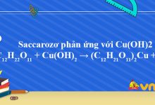 C12H22O11 + Cu(OH)2 → (C12H21O11)2Cu + H2O
