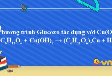 C6H12O6 + Cu(OH)2 → (C6H11O6)2Cu + H2O