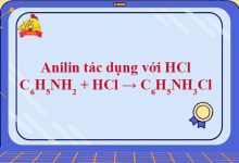 C6H5NH2 + HCl → C6H5NH3Cl