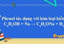 C6H5OH + Na → C6H5ONa + H2