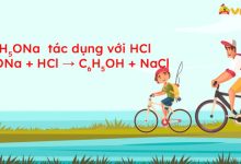 C6H5ONa + HCl → C6H5OH + NaCl