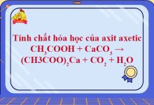 CH3COOH + CaCO3 → (CH3COO)2Ca + CO2 + H2O