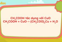 CH3COOH + CuO → (CH3COO)2Cu + H2O