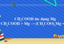CH3COOH + Mg → (CH3COO)2Mg + H2