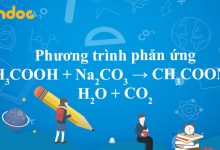 CH3COOH + Na2CO3 → CH3COONa + H2O + CO2