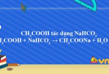 CH3COOH + NaHCO3 → CH3COONa + H2O + CO2