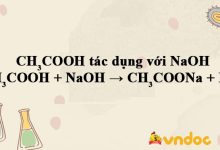 CH3COOH + NaOH → CH3COONa + H2O