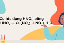 Cu + HNO3 → Cu(NO3)2 + NO + H2O