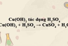Cu(OH)2 + H2SO4 → CuSO4 + H2O