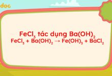 FeCl3 + Ba(OH)2 → Fe(OH)3 + BaCl2
