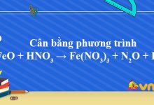 FeO + HNO3 → Fe(NO3)3 + N2O + H2O