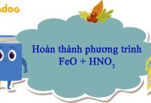 FeO + HNO3 → Fe(NO3)3 + NO + H2O