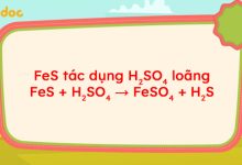 FeS + H2SO4 → FeSO4 + H2S