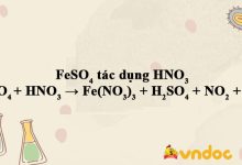 FeSO4 + HNO3 → Fe(NO3)3 + H2SO4 + NO2 + H2O