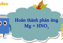 Mg + HNO3 → Mg(NO3)2 + N2O + H2O