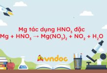 Mg + HNO3 → Mg(NO3)2 + NO2 + H2O