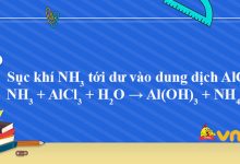 NH3 + AlCl3 + H2O → Al(OH)3 + NH4Cl