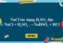NaCl + H2SO4 → NaHSO4 + HCl