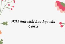 Wiki tính chất hóa học của Canxi