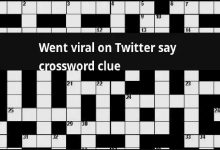 Went Viral On Twitter Say Crossword