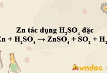 Zn + H2SO4 → ZnSO4 + SO2 + H2O