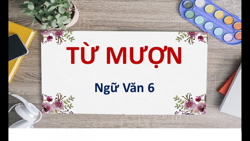 Từ mượn là gì?