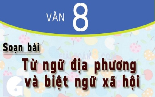 Sử dụng từ ngữ địa phương và biệt ngữ xã hội