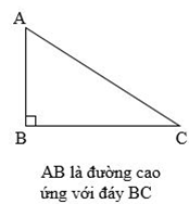 Lý thuyết Hình tam giác. Diện tích hình tam giác lớp 5 (ảnh 1)