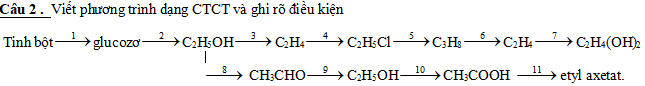 Chuỗi phản ứng hữu cơ hóa học 11