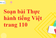 Soạn bài Thực hành tiếng Việt trang 110 SGK Ngữ văn 11 tập 2 Cánh diều - chi tiết>