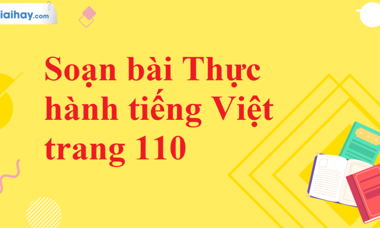 Soạn bài Thực hành tiếng Việt trang 110 SGK Ngữ văn 11 tập 2 Cánh diều - chi tiết>