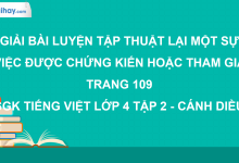 Luyện tập thuật lại một sự việc được chứng kiến hoặc tham gia trang 109 SGK Tiếng Việt 4 tập 2 Cánh diều>